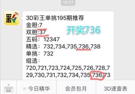 王中王一肖中特4993，深度解析與探索，王中王一肖中特4993深度解析與探索報告