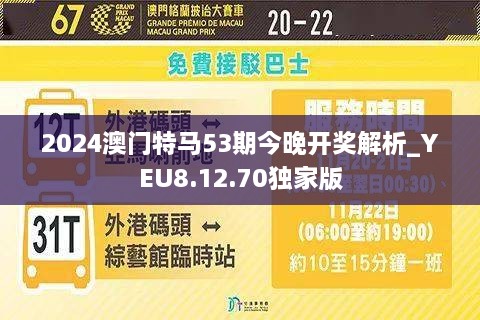 澳門今晚活動(dòng)盛宴，探索2025年的精彩活動(dòng)，澳門今晚盛宴活動(dòng)，探索未來(lái)精彩活動(dòng)，展望2025年風(fēng)采