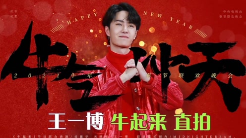 關(guān)于中王王中王一肖中特的SEO文章，中王王中王一肖中特的SEO優(yōu)化策略解析