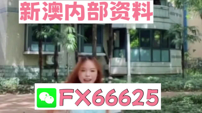 香港內部精準資料一碼，揭秘與深度解析，香港內部精準資料一碼揭秘與深度剖析