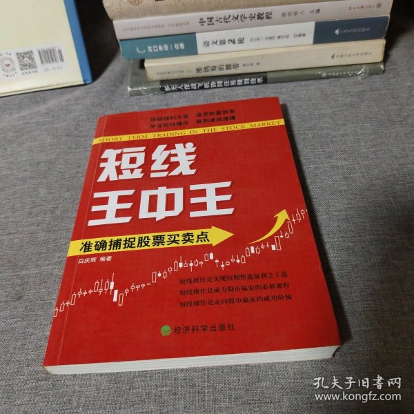 王中王平特一肖中的奧秘與探索，王中王平特一肖的奧秘與探索之旅