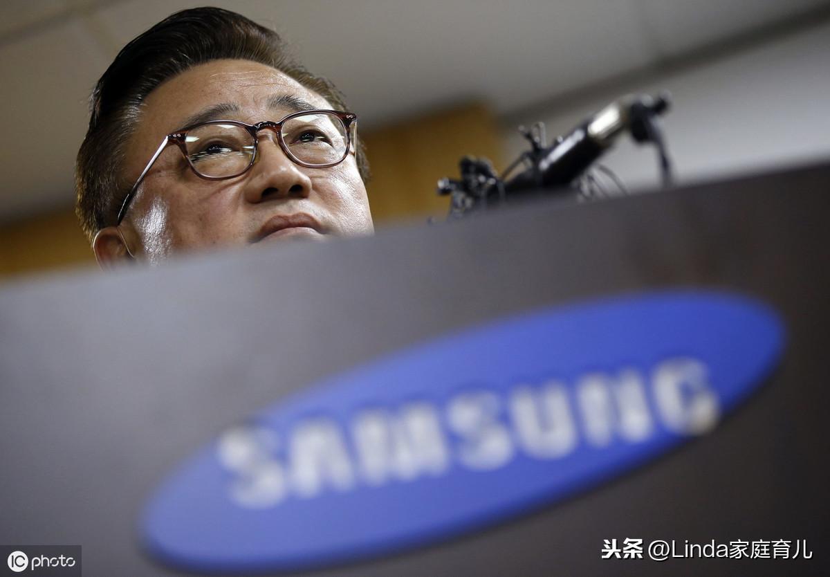 王中王86期指一生肖，深度解析與預測，王中王86期生肖深度解析與預測，揭秘生肖運勢走向