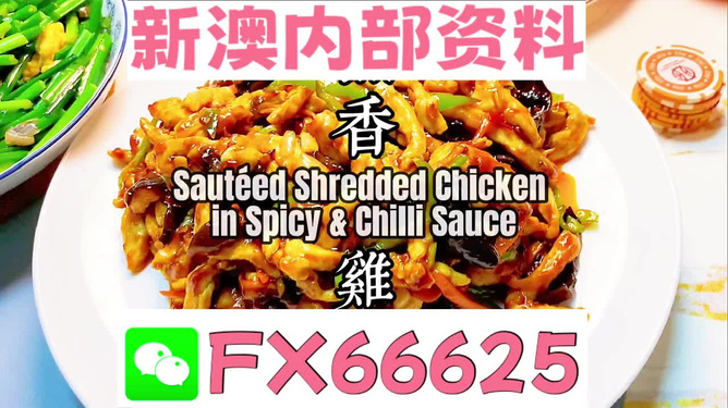 新奧天天精準(zhǔn)資料大全，全方位解讀與應(yīng)用指南，新奧天天精準(zhǔn)資料大全，全方位解讀與應(yīng)用指南手冊(cè)