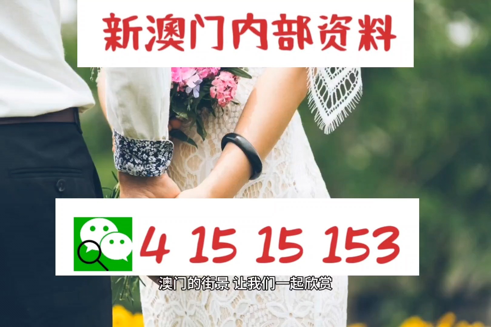 新澳精準正版資料免費，探索與獲取指南，新澳正版資料免費探索與獲取指南