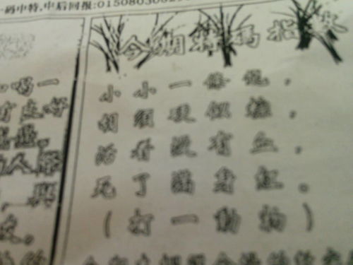揭秘劉伯溫四肖選一肖的神秘預(yù)測(cè)藝術(shù)，劉伯溫四肖選一肖的神秘預(yù)測(cè)藝術(shù)揭秘