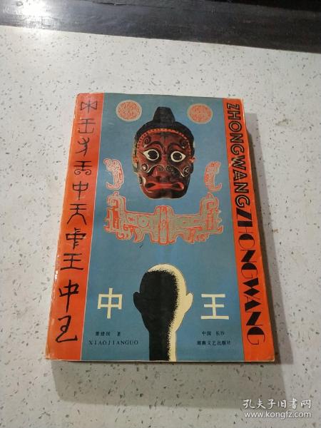 王中王資料與肖中特，深度解析，王中王資料與肖中特深度剖析