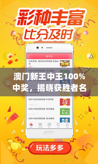 王中王藏寶閣猜一肖，揭秘背后的秘密與SEO策略，王中王藏寶閣猜一肖背后的秘密與SEO策略揭秘