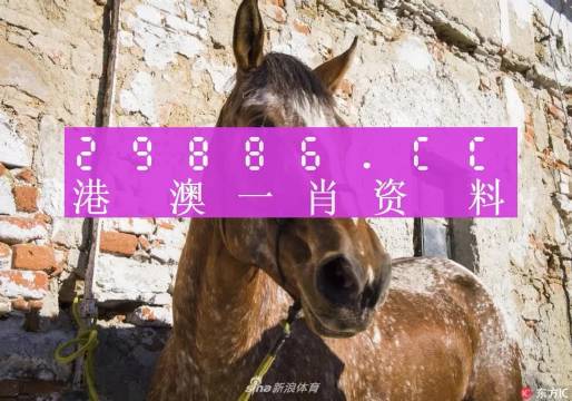 王中王資料一門肖中，深度解析與探索，王中王資料一門肖詳解，深度解析與探索