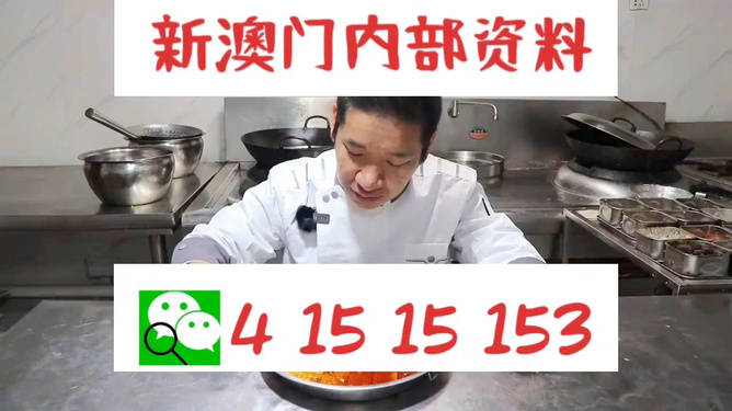 管家婆一肖資料大全，深度解析與探索，管家婆一肖資料深度解析與探索大全