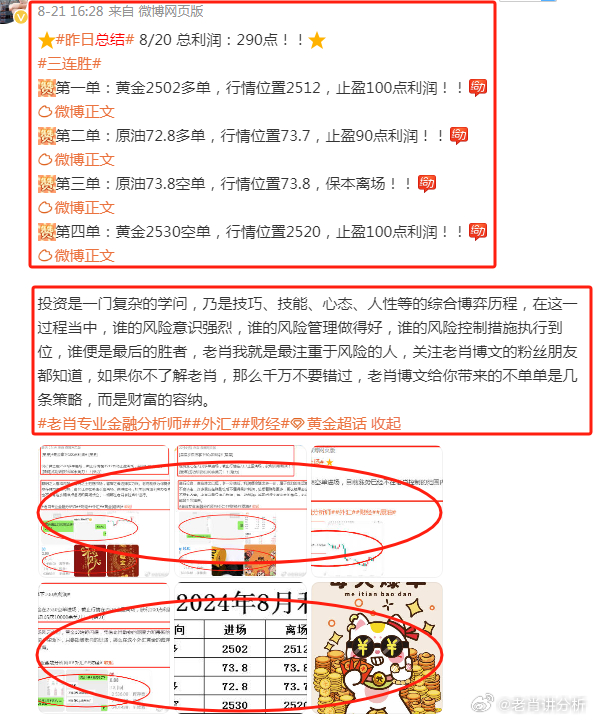 香港最準(zhǔn)一肖——王中王的傳奇故事，香港傳奇人物王中王，一肖預(yù)測(cè)傳奇故事